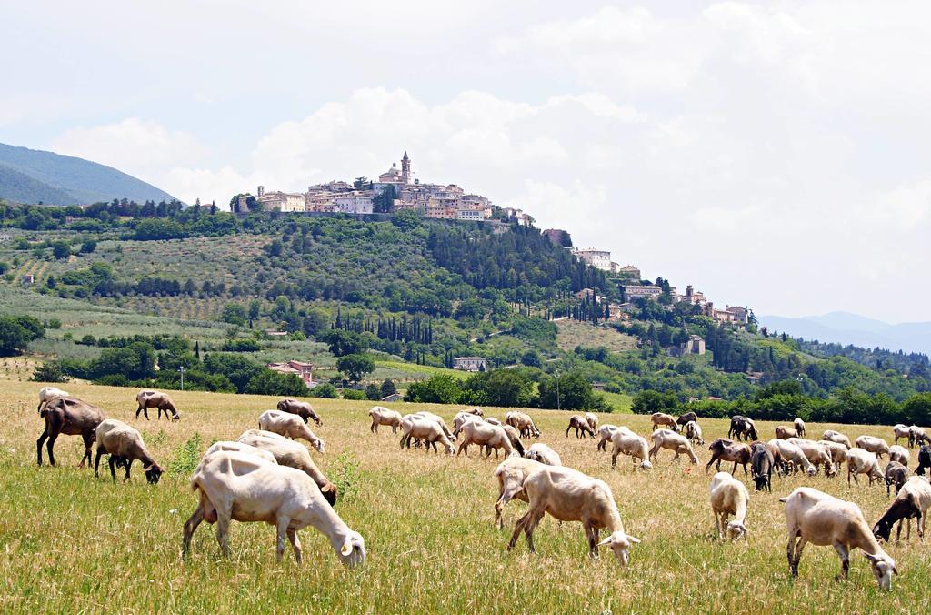 Penzion Agriturismo Residenza Paradiso Trevi Exteriér fotografie